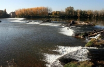 Pesquera en el río Duero